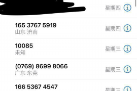 阳明专业讨债公司，追讨消失的老赖